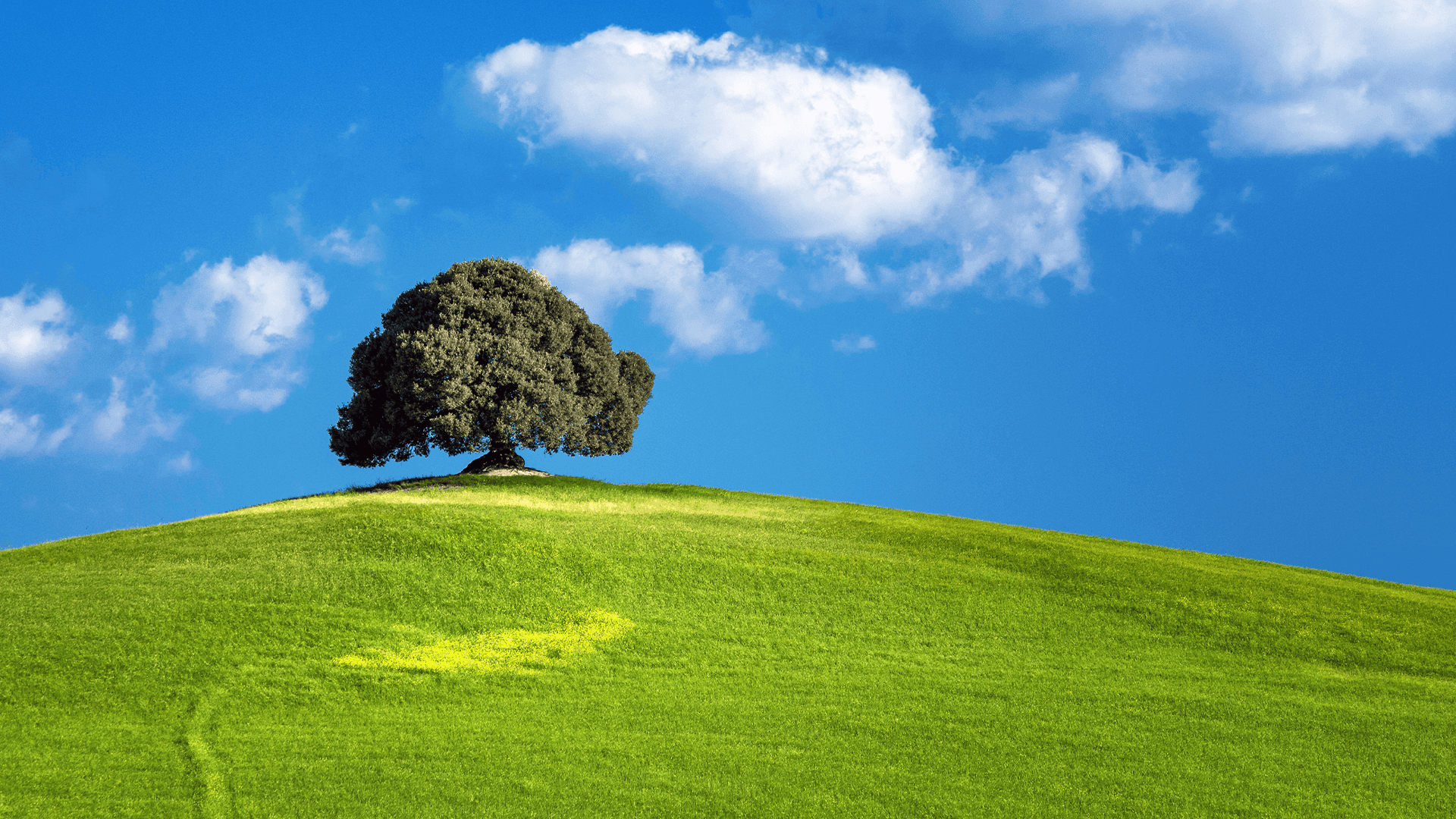 Environmental