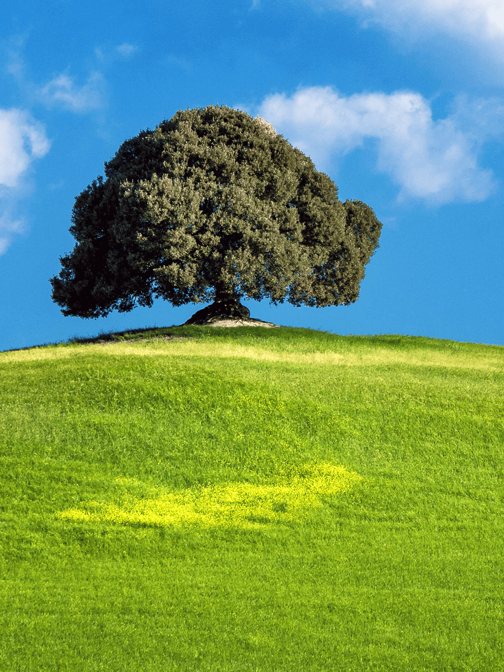 Environmental
